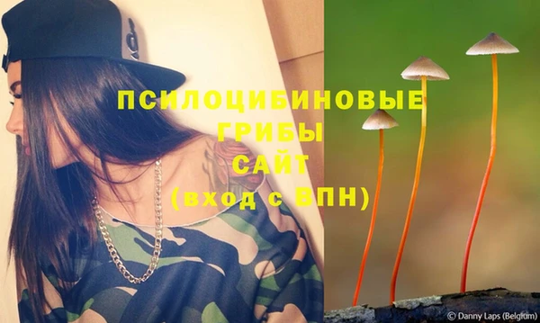 PSILOCYBIN Касимов